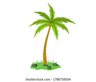 Coconut tree on grass. Vector design Illustration.