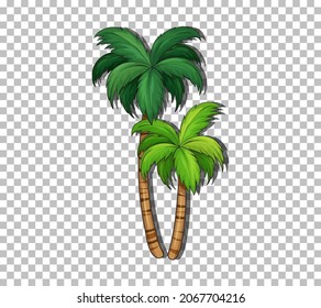 Coconut tree on transparent background illustration