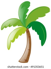 Árbol de coco en ilustración de fondo blanco