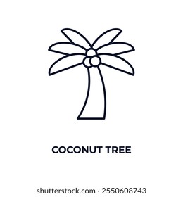 coconut tree outline icon. Linear vector from ecology concept. Thin line coconut tree icon isolated on white background