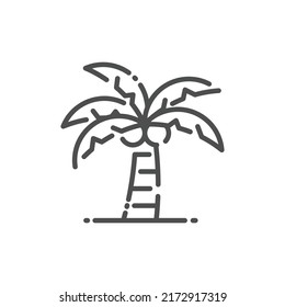 Coconut Tree Outline Icon - Summer Season Icon Vector Illustration