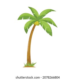 coconut tree, palm tree illustration vector design