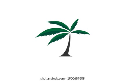 Coconut Tree Or Palm Tree Modern Flat Logo Symbol Icon Vector Graphic Design 