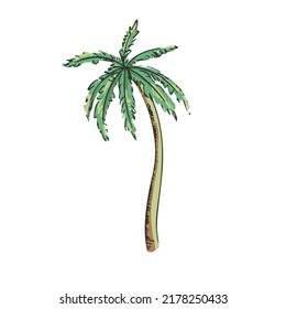 Coconut tree pattern Hand-painted coconut tree design