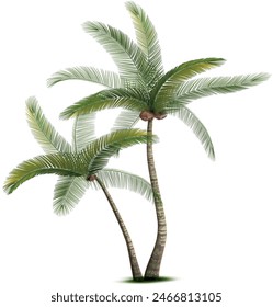 Coconut Tree png Icon Victors