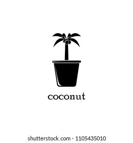 coconut tree in pot illustration. Element of flower icon for mobile concept and web apps. Detailed coconut tree in pot illustration can be used for web and mobile. Premium icon on white background