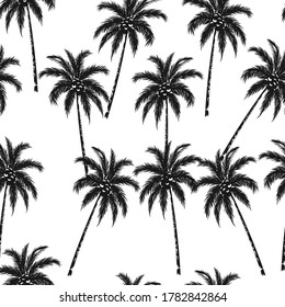 Coconut tree seamless Pattern black and white