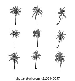 coconut tree set hand drawing vector illustration isolated on white background