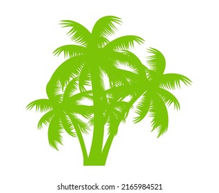 coconut tree shape icon or symbol design