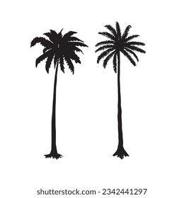 Kokosnussbaumsilhouettenzieher