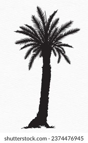 Coconut tree silhouette isolated on white background
