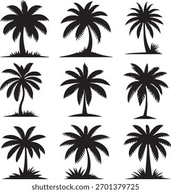 Conjunto de iconos de Vector de silueta de árbol de coco