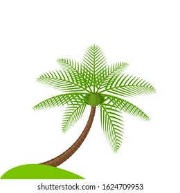 coconut tree simple isolated on white, illustration coconut palm tree, coconut tree for clip art, palm tree on small hill island