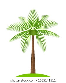 coconut tree simple isolated on white, illustration coconut palm tree, coconut tree for clip art, palm tree on small hill island