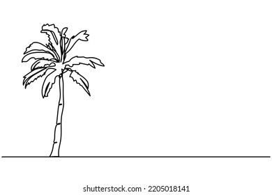 coconut tree single continuous line vector illustration