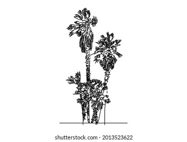 Coconut tree sketch vector design blowing in the wind