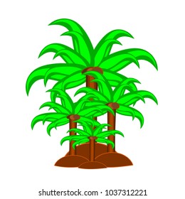 Coconut tree with stems match with brown stone White background Brown coconut