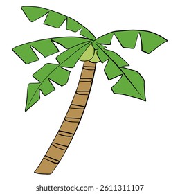 coconut tree style line and color cute doodle illustration