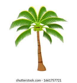 Coconut tree summer beach colorful vector design