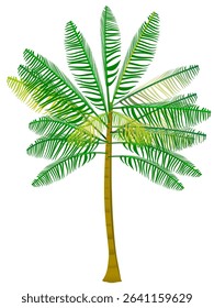 coconut tree symbol of summer with coconut water and shade on a beautiful beach