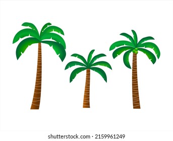 Coconut tree template on white background