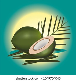 coconut tree vector fruits tropical fresh illustration drink 