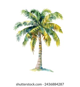 coconut tree vector illustration in watercolour style