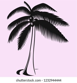 coconut tree vector silhouette isolated