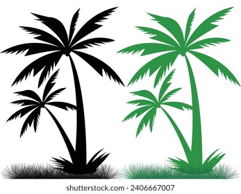 Coconut tree Victor , summer tree, 