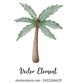 acuarela de coco para el verano 