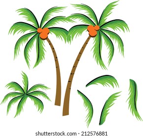 Coconut trees.The beautiful drawing.