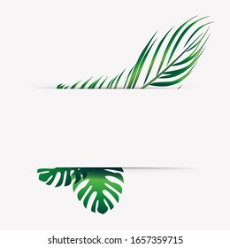 Coconut trees leaf border isolated with space for text on summer vacation banner concept
