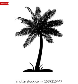 coconut trees, palm, black silhouette, and outline contours on a white background. Vector