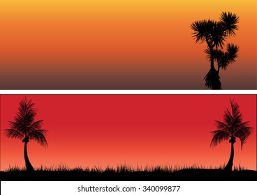 coconut trees and pandanas in the sunset