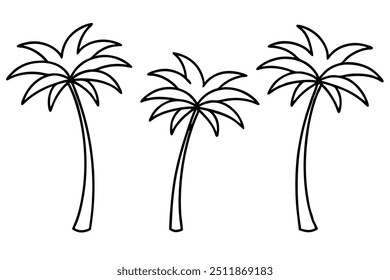 coconut trees in a row with a white background