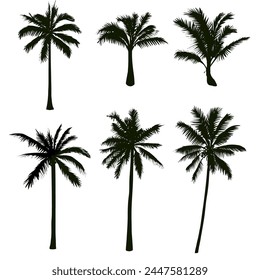 coconut trees silhouette collection. seasonal exotic plant element