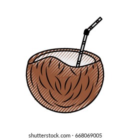 coconut tropical and exotic fruit