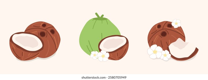 coconut. The tropical fruit is coconut. chips. coconut grew on a palm tree. coconut milk. an artful cocktail. a fruit painted in a flat style. vector. delicious milk.