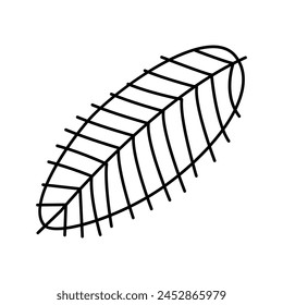 Vector de línea de hoja tropical de coco. signo de hoja tropical de coco. símbolo de contorno aislado ilustración negra