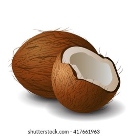 Coconut tropical nut fruit 