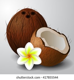 Coconut tropical nut fruit 