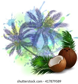 Coconut tropical nut fruit 