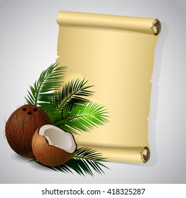 Coconut tropical nut fruit 