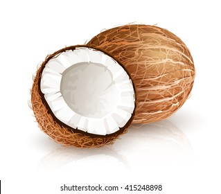 Coconut tropical nut fruit with cut. Vector illustration isolated white background. Coco nut fruit broken shell with milk