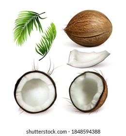 Coconut Tropical Tree Nut And Branch Set Vector. Collection Of Different Part Of Coconut, Sliced Cut Piece And Green Leaves Exotical Palm. Coco Plant Template Realistic 3d Illustrations