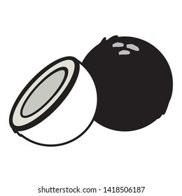 coconut tropical vector illustration on white background