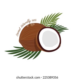 coconut vector