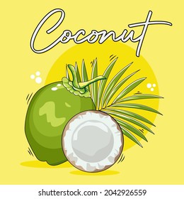 Coconut Vector Art and Graphic Illustration for Design to Download