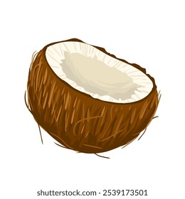 Coconut vector art. Hand drawn cartoon illustration of cracked coco. Opened coconut. Tropical print design for menu, summer party, stickers, beauty products, food on white background