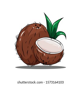 Coconut vector brown and green leaf